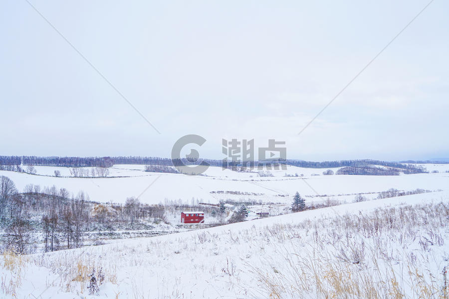 日本北海道富良野雪景图片素材免费下载