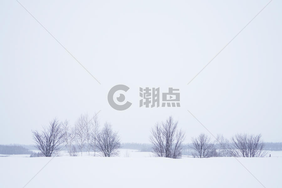 日本北海道富良野雪景图片素材免费下载