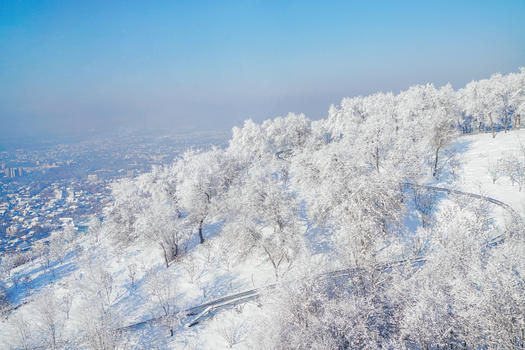 哈萨克斯坦冬季雾凇图片素材免费下载