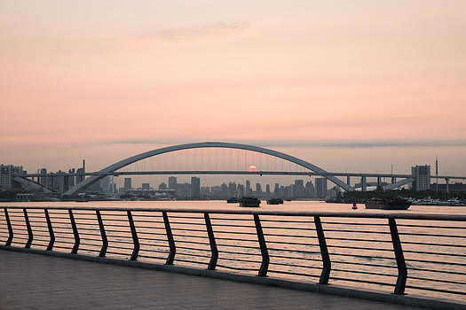 上海滨江绿地日出清晨图片素材免费下载