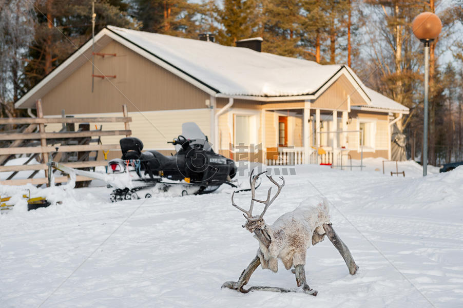 芬兰家庭小院中的麋鹿摇椅和雪地摩托图片素材免费下载