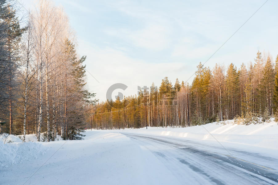 芬兰雪地森林图片素材免费下载