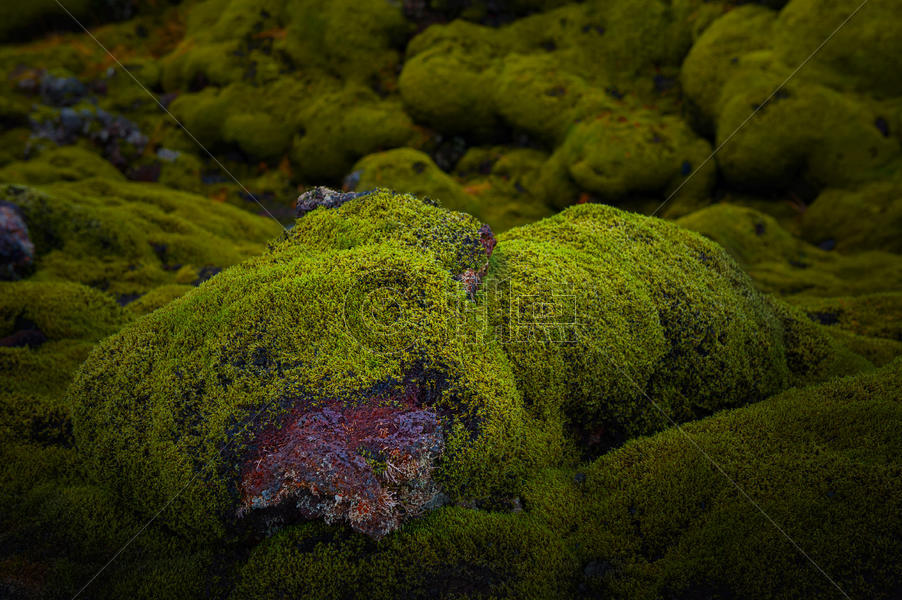 冰岛火山岩地质植被图片素材免费下载