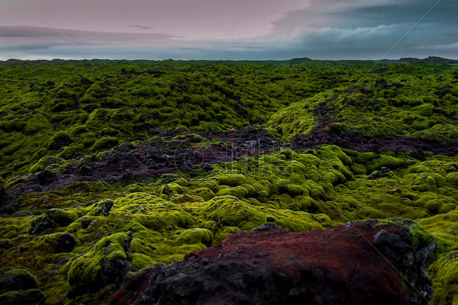 冰岛火山岩地质植被图片素材免费下载