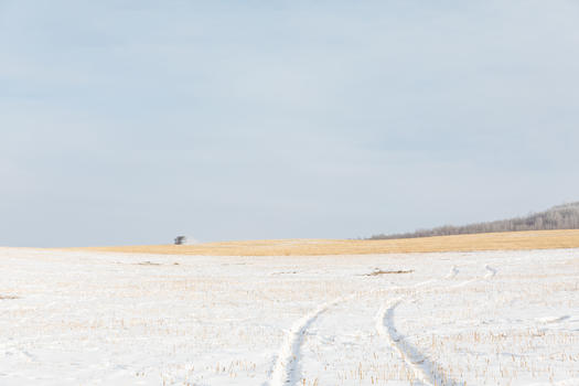 草原白雪覆盖冬季风光图片素材免费下载