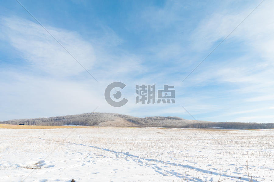 冬季辽阔雪地雪景图片素材免费下载