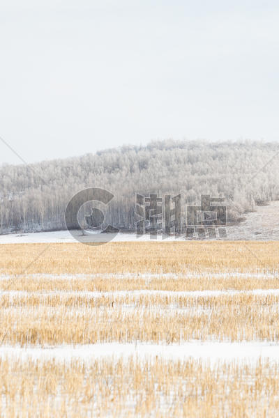 冬季草原雪景图片素材免费下载