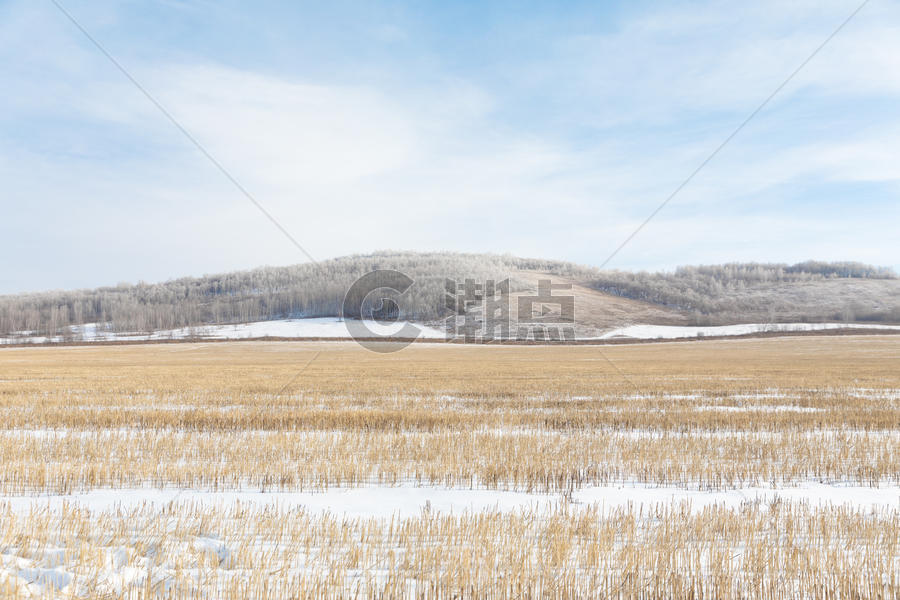 冬季草原雪景图片素材免费下载