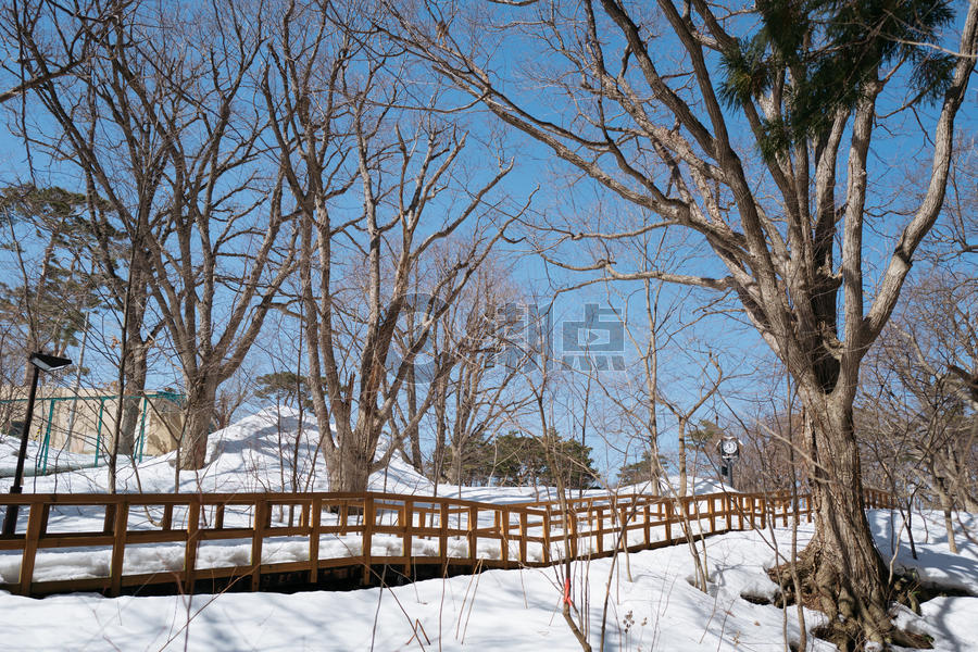 日本北海道札幌圆山动物园雪景图片素材免费下载
