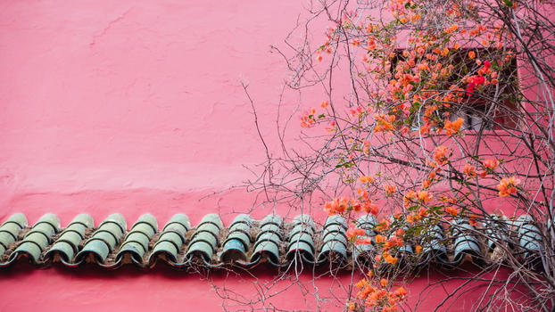 摩洛哥粉色墙壁图片素材免费下载