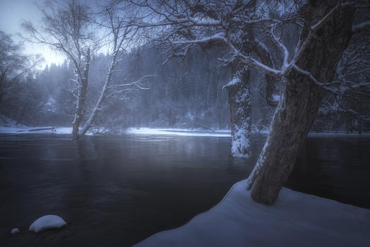 雪后森林图片素材免费下载