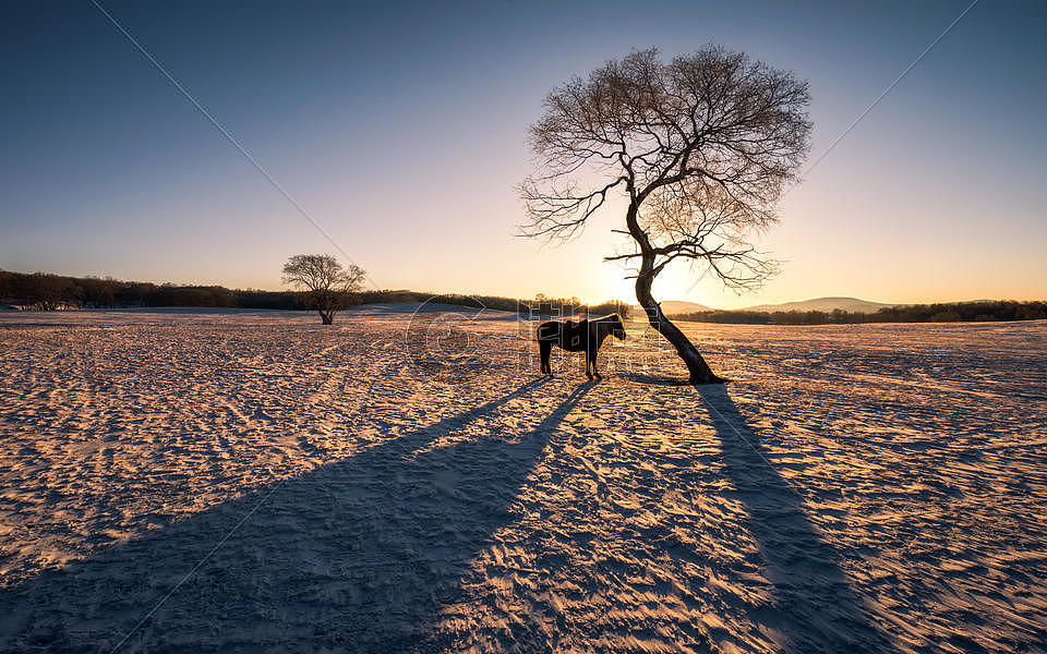 冬日暖阳图片素材免费下载