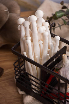食品菌类白玉菇图片素材免费下载