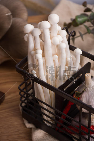 食品菌类白玉菇图片素材免费下载