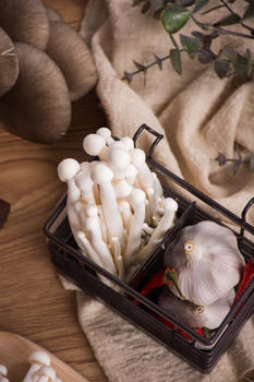 菌类食品白玉菇静物图片素材免费下载