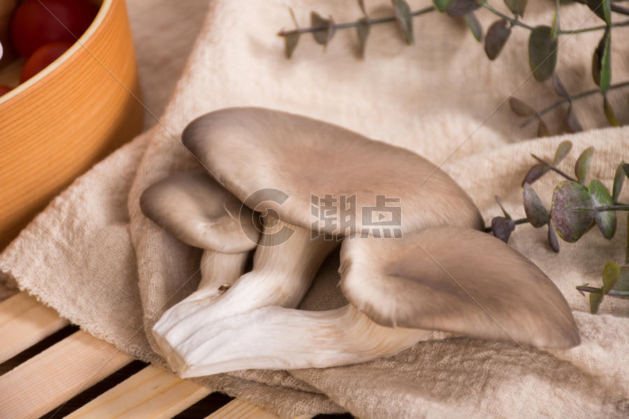 菌类清新食材平菇图片素材免费下载