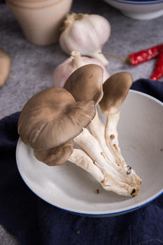 菌类食材平菇在碗里图片素材免费下载