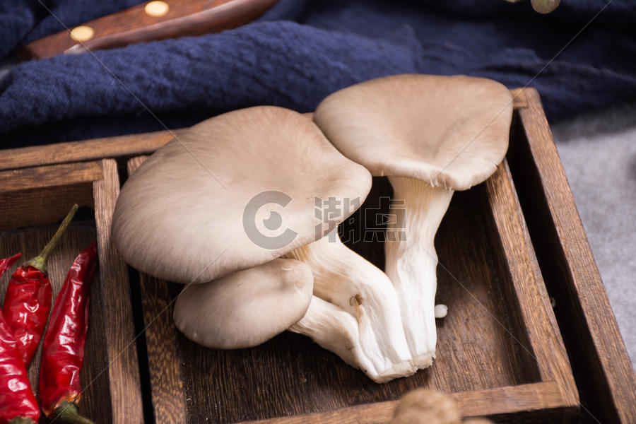 菌类食材平菇在木盒里图片素材免费下载