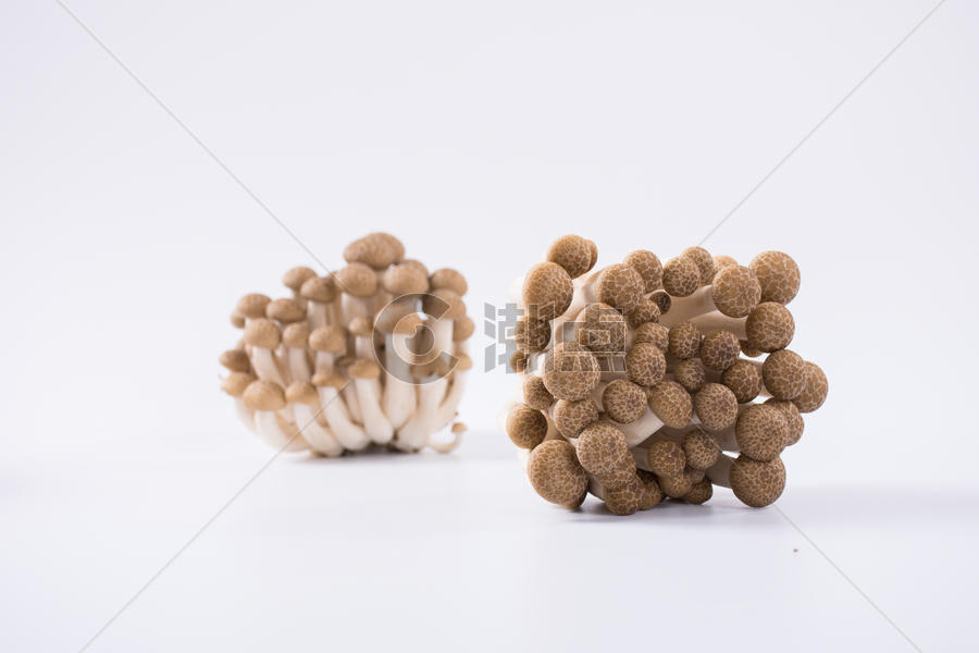 菌类食品蟹味菇图片素材免费下载