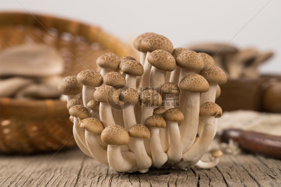 菌类食品蟹味菇图片素材免费下载