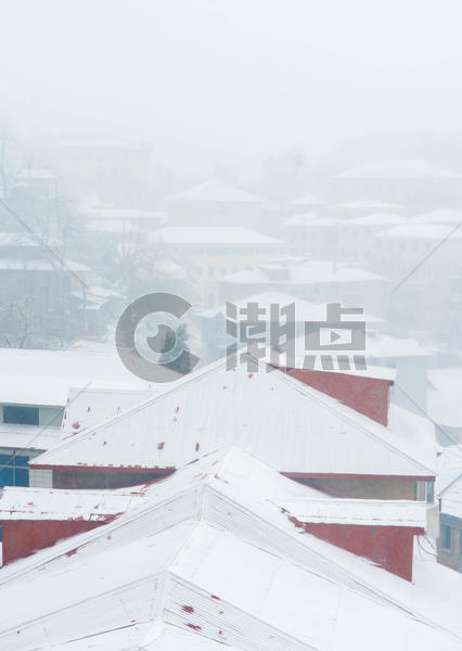 庐山牯岭镇雪景图片素材免费下载