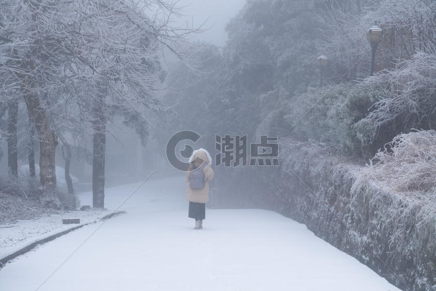 风雪中的女子背影图片素材免费下载