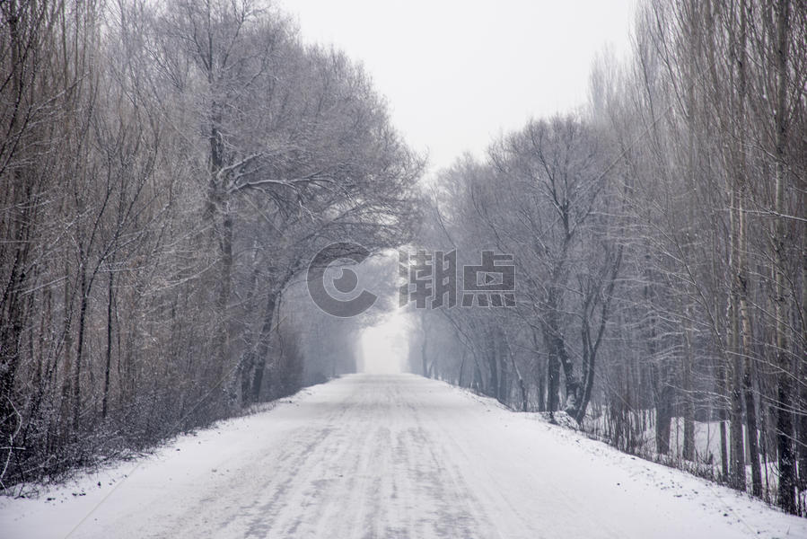 新疆冬季道路雪景图片素材免费下载