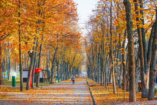 乌克兰哈尔科夫秋景图片素材免费下载