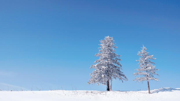雪乡雪景孤独的树图片素材免费下载