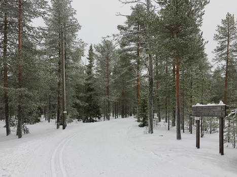 芬兰洛瓦涅米冰雪世界森林道路图片素材免费下载
