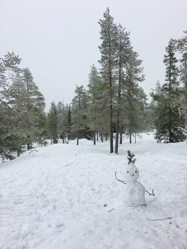 芬兰洛瓦涅米冰雪世界森林中的雪人图片素材免费下载