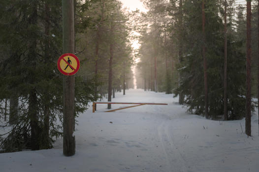 芬兰洛瓦涅米冰雪世界森林中的禁地图片素材免费下载