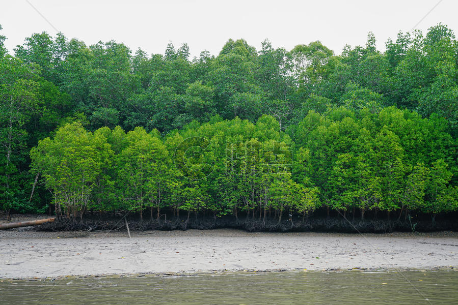 马来西亚兰卡威红树林图片素材免费下载