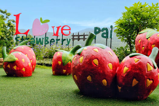 泰国拜县景点草莓园图片素材免费下载