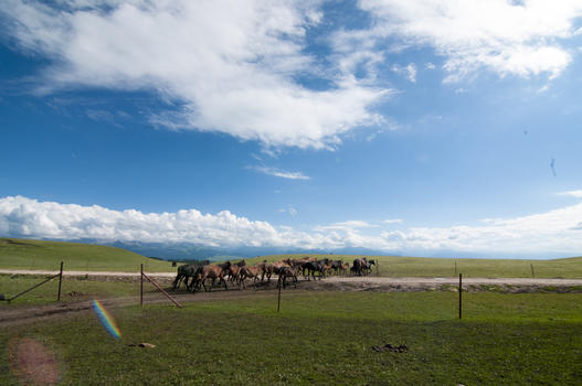 新疆牧场风景图片素材免费下载