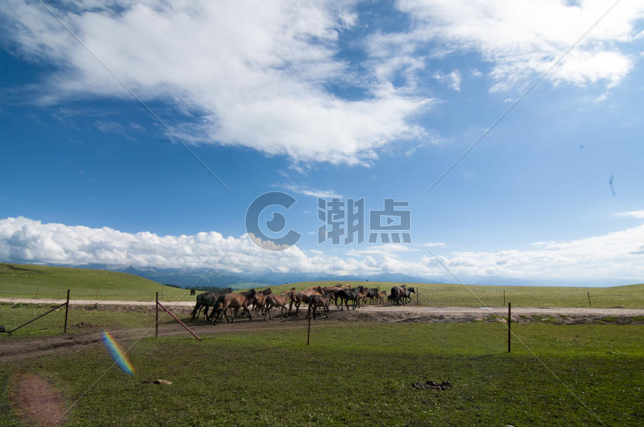 新疆牧场风景图片素材免费下载