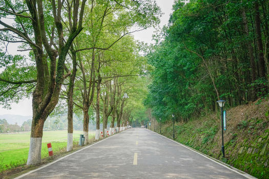韶山旅游风景区图片素材免费下载