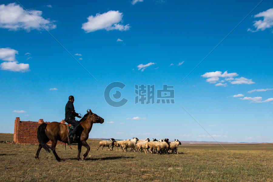 内蒙古草原的牧羊人图片素材免费下载