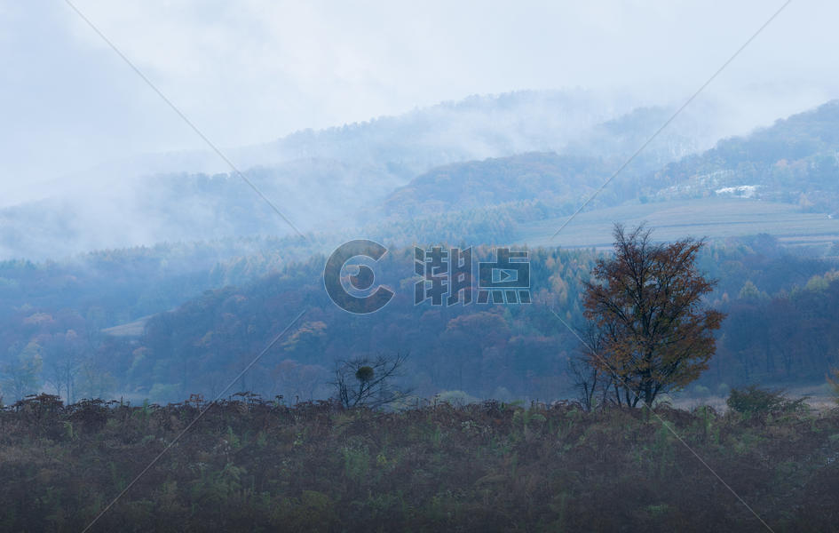 黄山风景图片素材免费下载