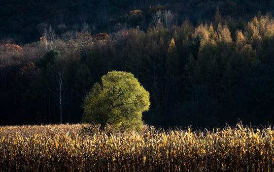秋天的风景图片素材免费下载
