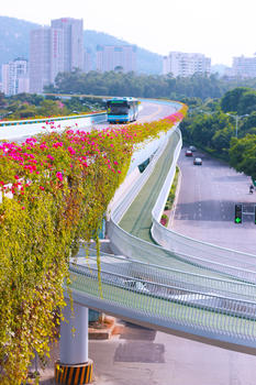 厦门快速公交BRT图片素材免费下载