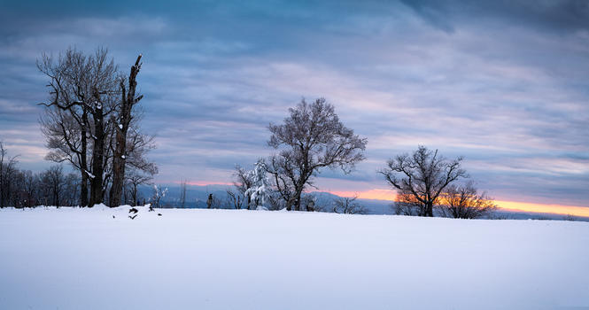 冬日暖阳雪景图片素材免费下载