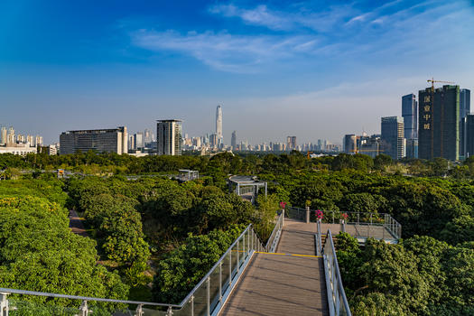 深圳香蜜公园景观图片素材免费下载