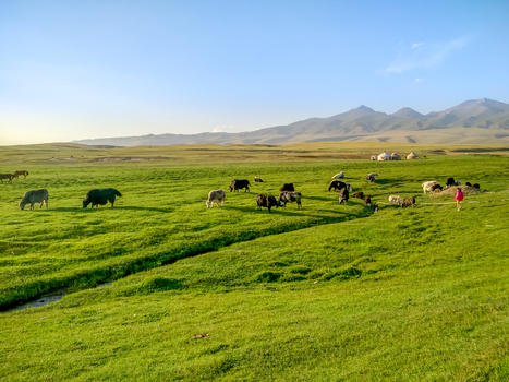 新疆喀纳斯草原牧场风光图片素材免费下载