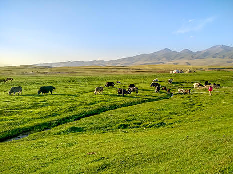 新疆喀纳斯草原牧场风光jpg4103*3077PX图片素材