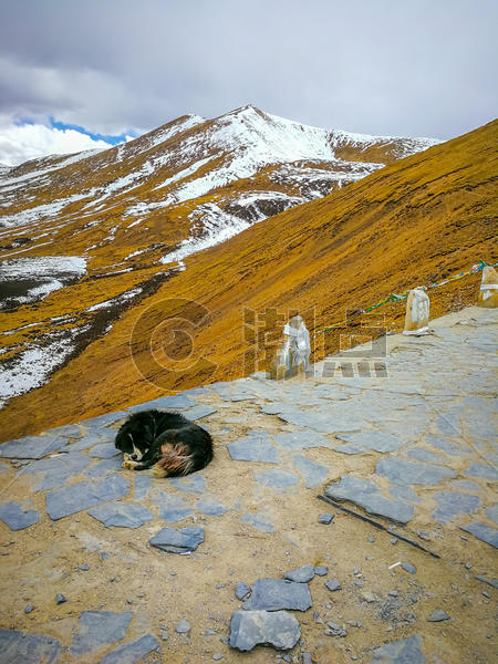 西藏米拉山山口风光图片素材免费下载