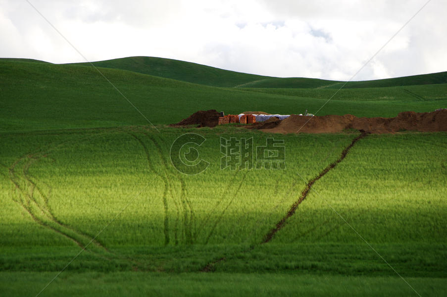 内蒙古大草原车印图片素材免费下载
