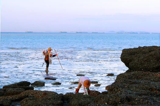 海边沙滩挖蛤蜊图片素材免费下载