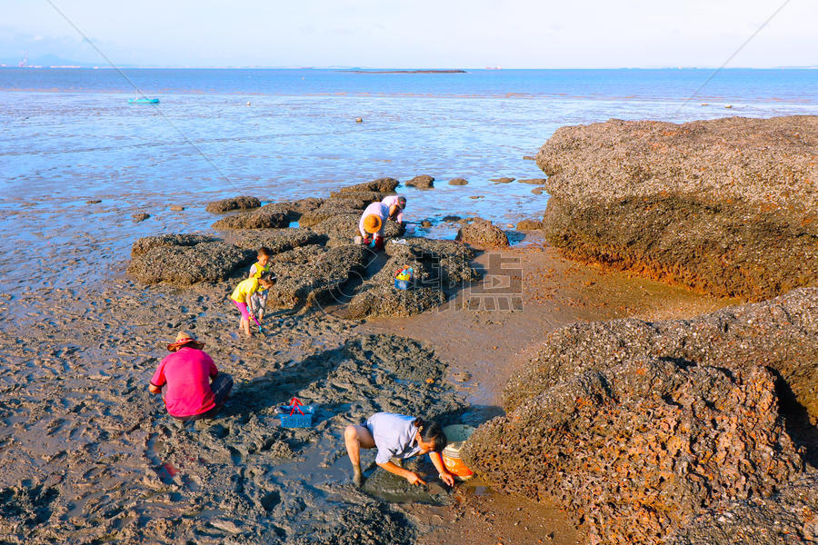 海边沙滩挖蛤蜊图片素材免费下载