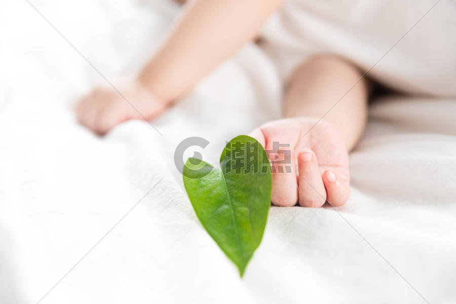 婴儿手持绿叶图片素材免费下载